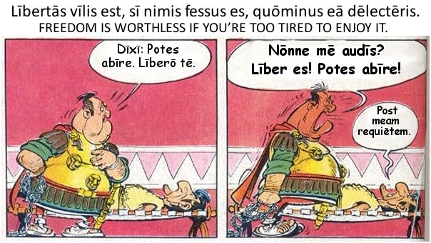 Asterix et Obelix - Libertas vilis est, si nimis fessus es, quominus ea delecteris.